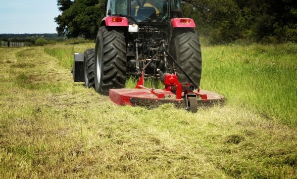 Brush Clearing Service in Florence