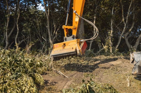 Brush Removal Service in Florence