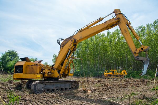 Farm Clearing in Florence