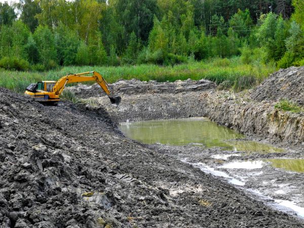 Lake Lot Clearing in Florence
