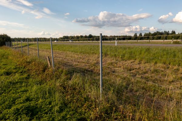 Property Line Clearing in Florence