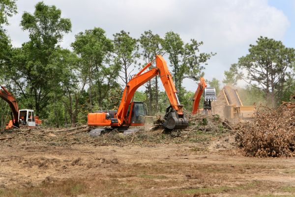 Commercial Lot Clearing in Florence