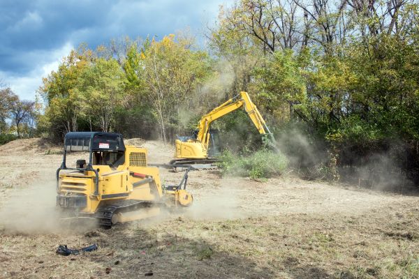 Terrain Clearing in Florence