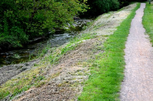 Trail Cutting in Florence